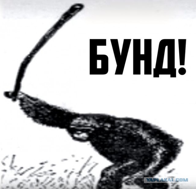 Кадры последних событий на Гаити