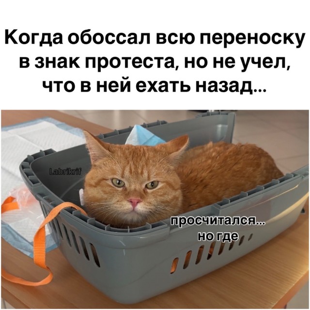 ТРРРидцать тРРРи от 23 апРРРеля