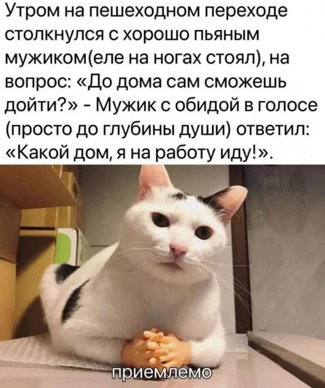 Немного мемчиков. Для взрослых. Часть 34