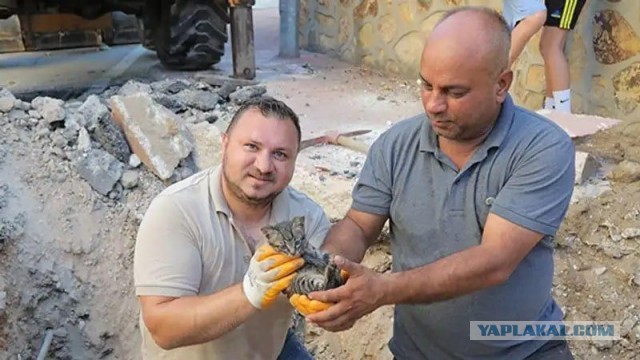В Саратовской области провели праздник в честь новой асфальтированной дороги