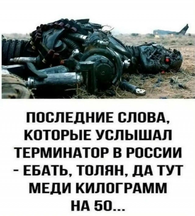 Жизнь в полях падения