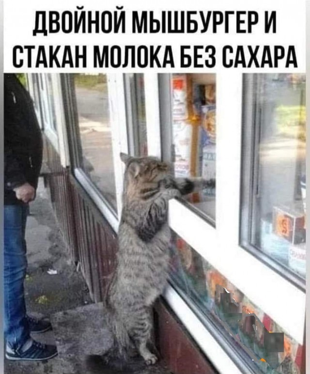 Картинки разные с надписями и без
