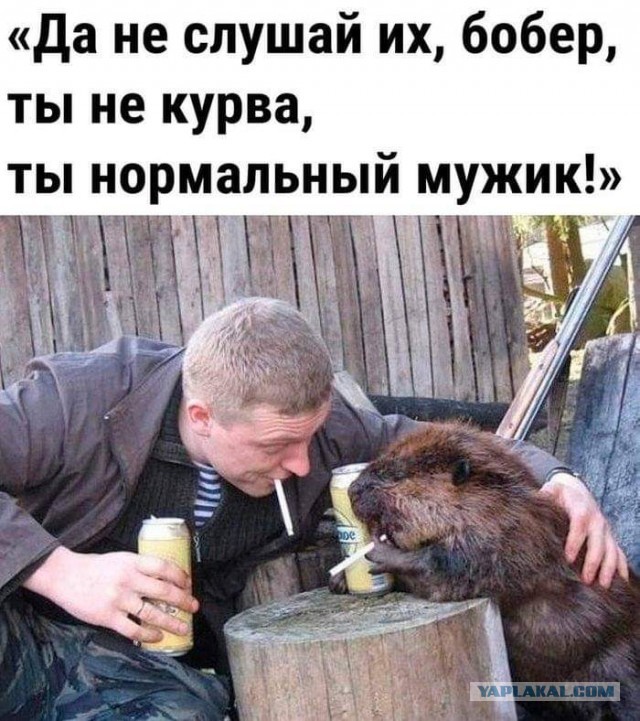 Вот такая несправедливость