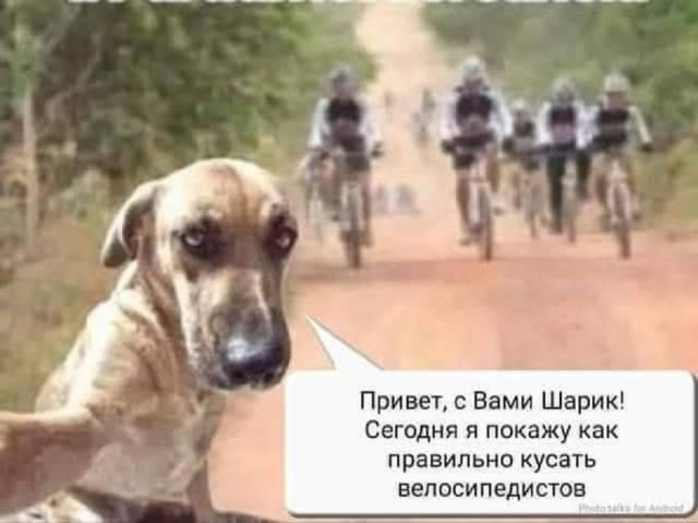 Картинки разные с надписями и без