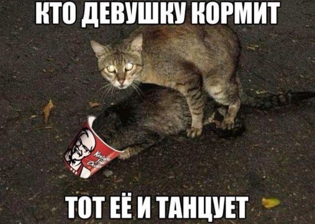 Кто девушку ужинает, тот её и...