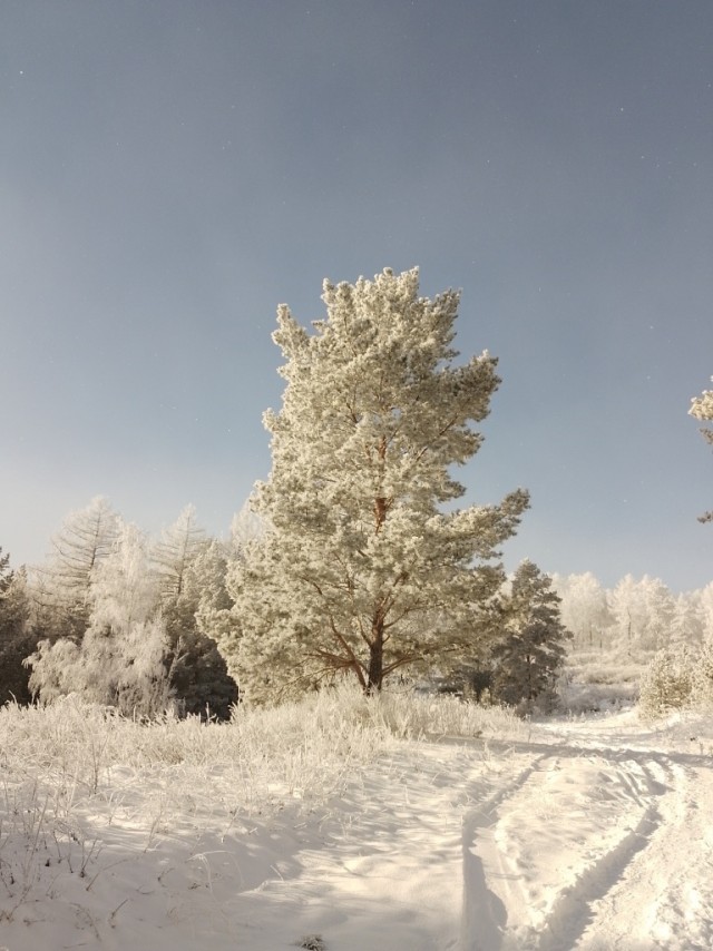 Зимний день в Абзаково