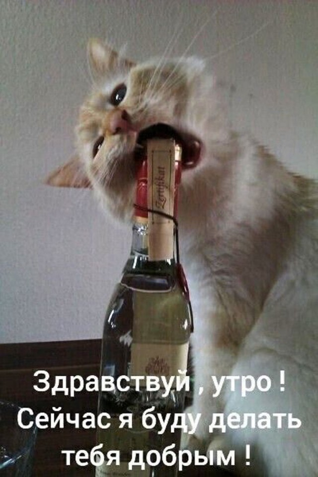 Прикольные и просто красивые картинки 08.05.2025