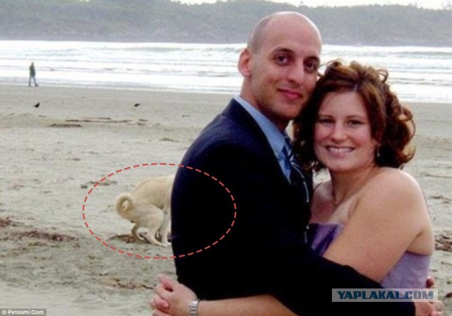 Кредитное попадалово