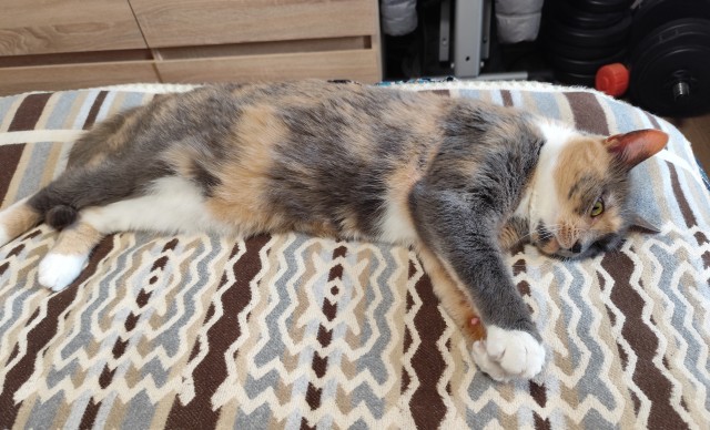 Его первый вторник