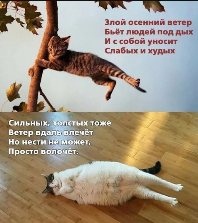 Так себе картинки 19.08.25