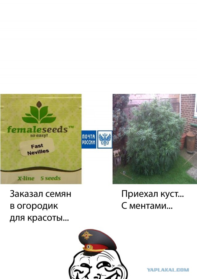 Ищите свои плюсы