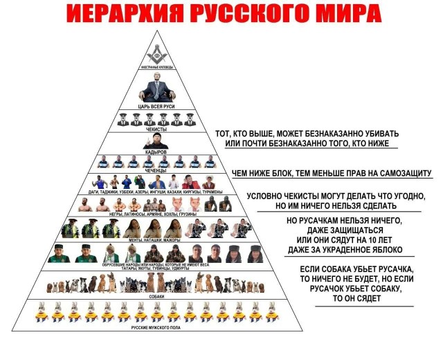 Неоднозначный случай в Котельниках - мужчина убил собаку, защищая своего питомца.