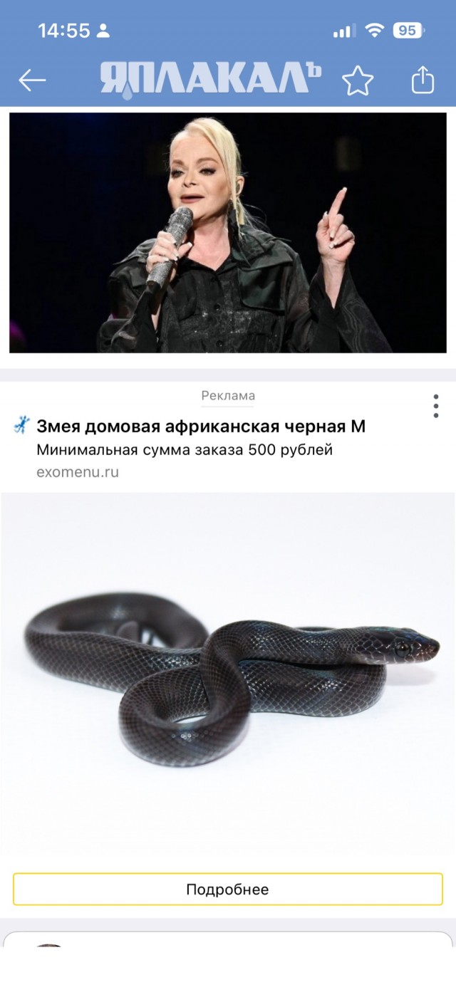 Лариса Долина завершила масштабный переезд из квартиры в Хамовниках