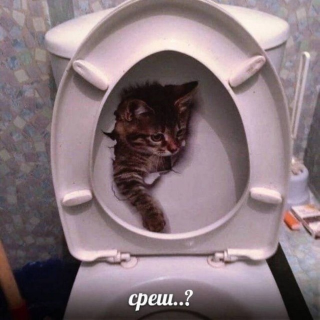 Я хожу везде пешком, будто ё*нутый мешком