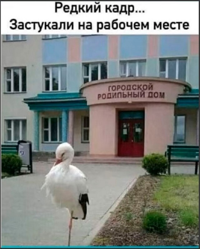 Так себе картинки 02.02.26