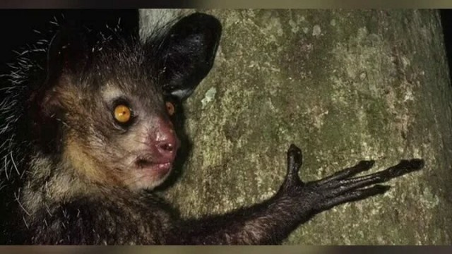 Вечерней милоты