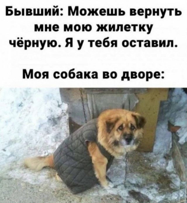 Веселые картинки в пятницу (20.02)