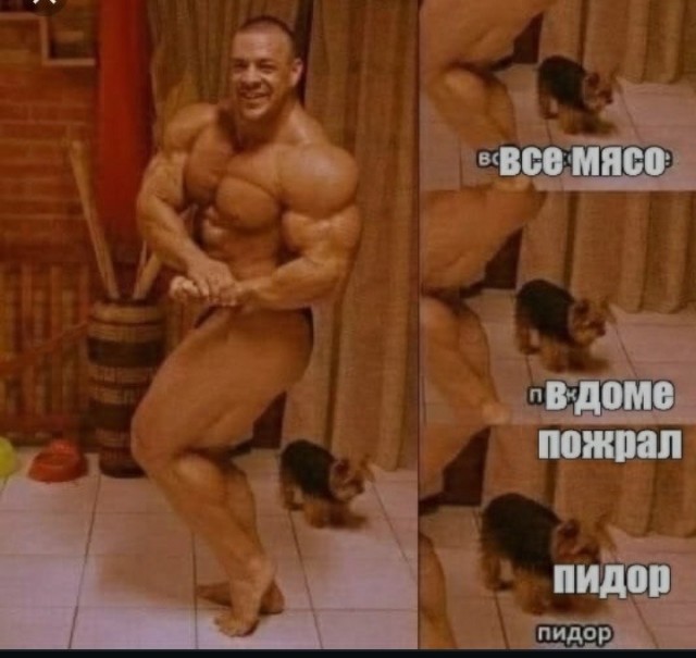 Великий кинематографист и бодибилдер на связи