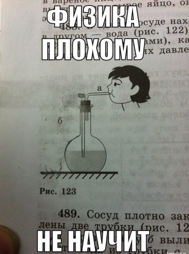 Камрады, а среди нас есть волки одиночки?