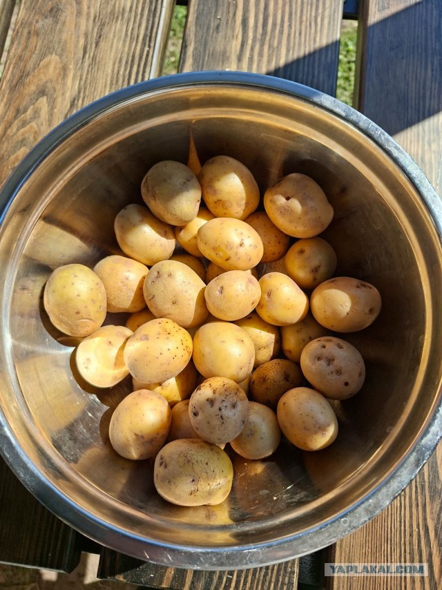 Мангальная зона
