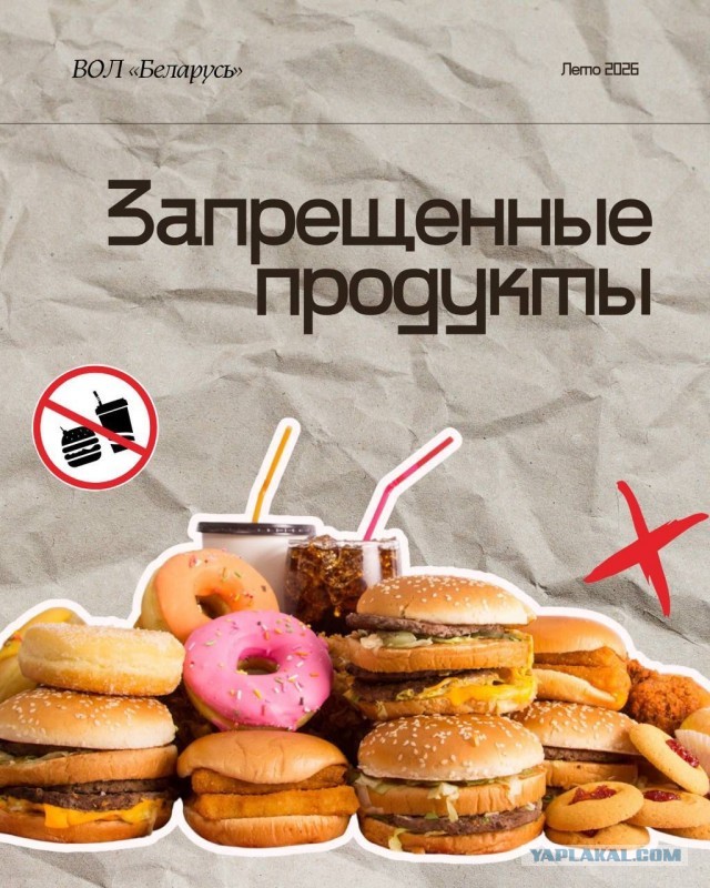 Детям снова запретили брать в лагерь сигареты, алкоголь и порнографию