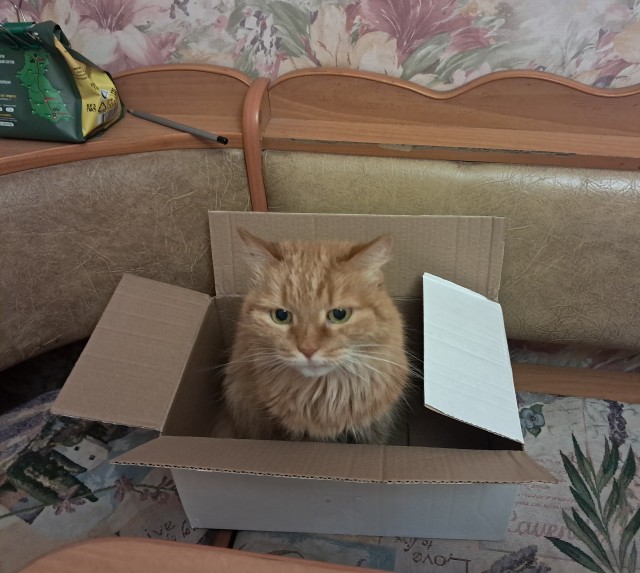 Котовое