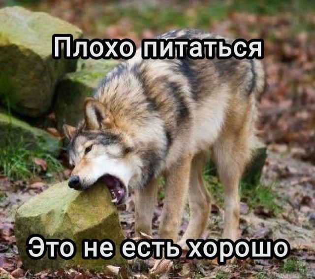 Картиночки, баянчики 01 августа