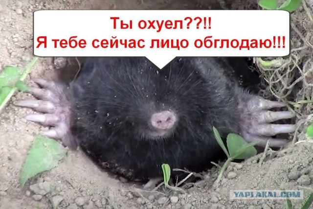 Солдат, помни! Граната должна убить кроме тебя еще кого нибудь!