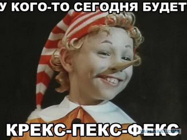 Котейка нагулялась