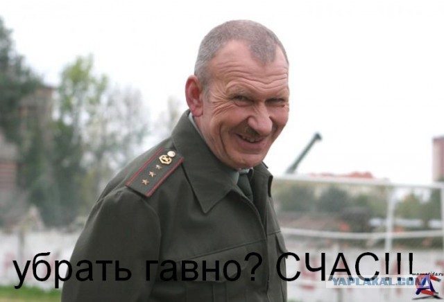 Панки vs бабуля