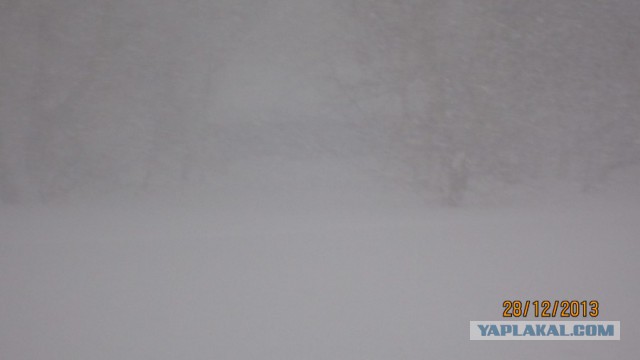 Пурговое