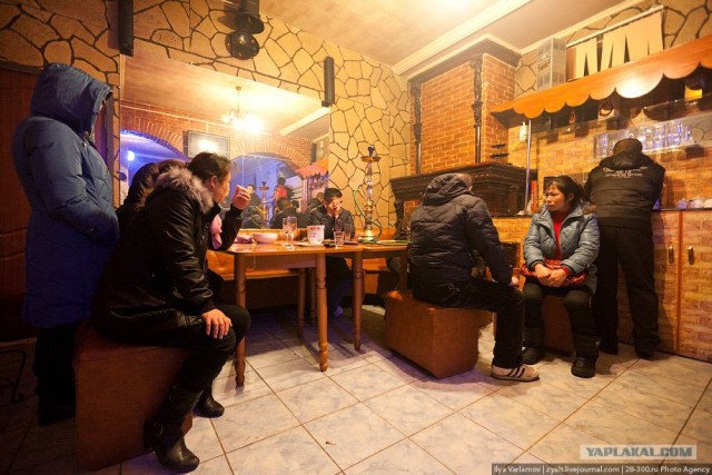 Маленький Шанхайчик в Люблино