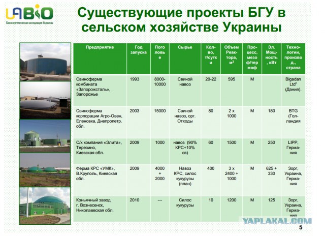 Европе надо взять на заметку