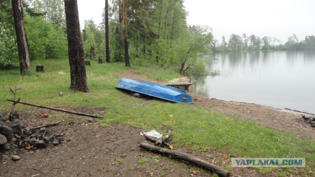 Вуокса 2014