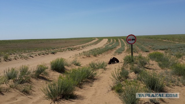Просто несколько непонятных фотографий