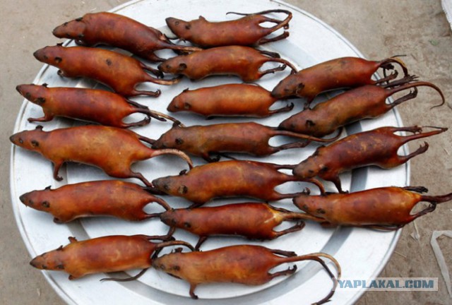Кулинарные изыски тайваньской уличной кухни