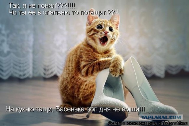 Добряки, плюсующие всех подряд