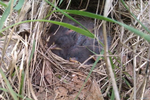 Просто выходные...