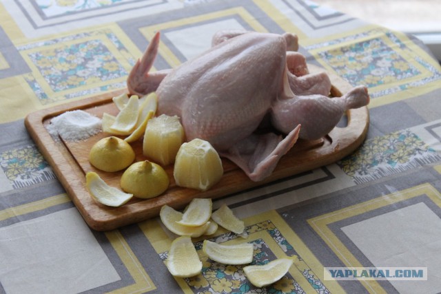 Цыпа Дрипа Лямпампони