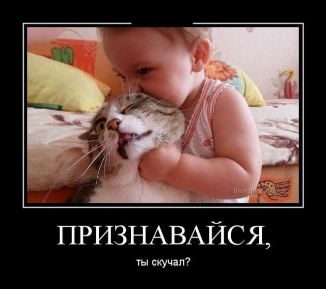 Весёлые картинки
