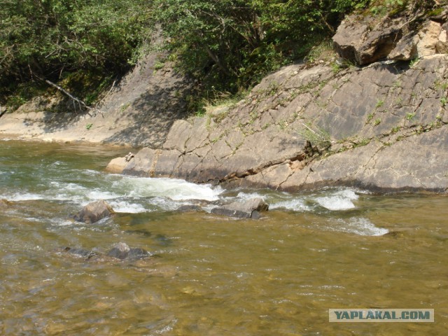 Горганы