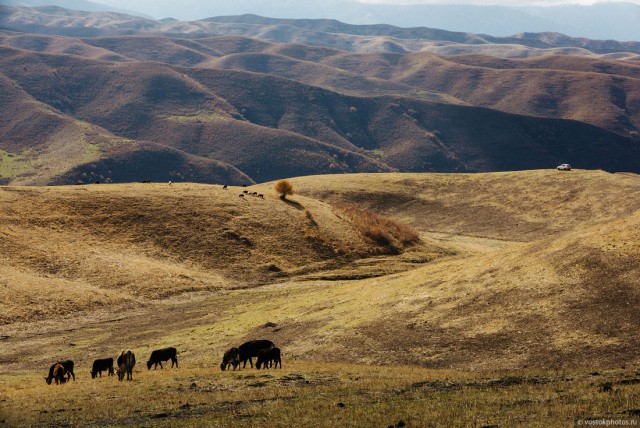 Самая красивая дорога в моей жизни.