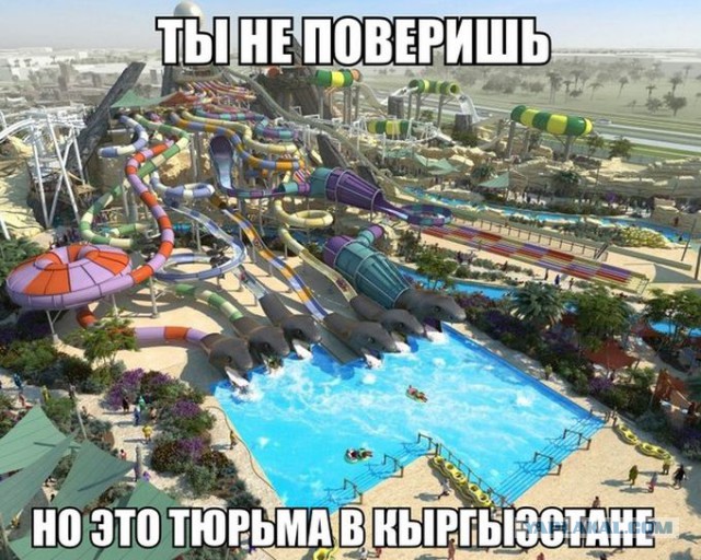 Картинки