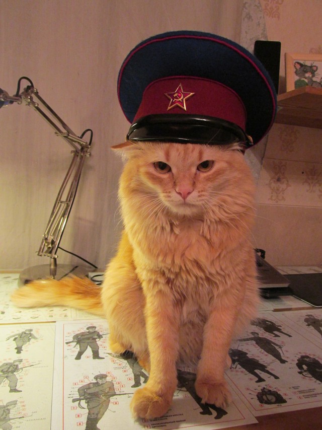 Прощай, цыганка...
