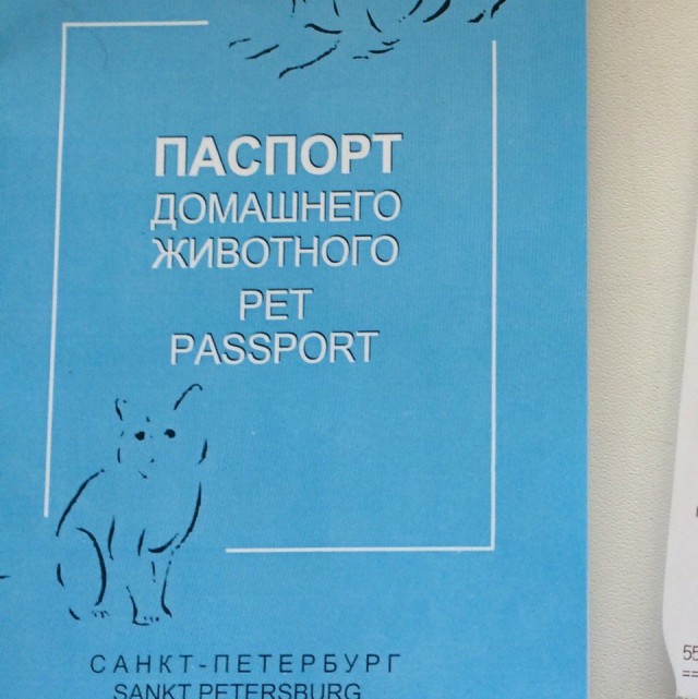 Малышка Тори