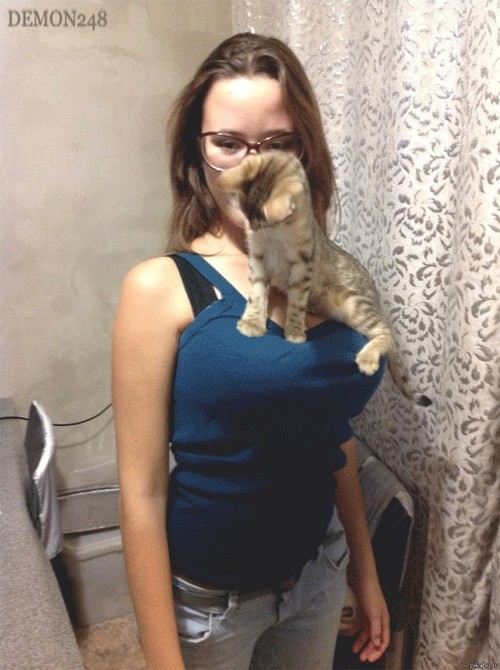 Очень ЯПовское фото