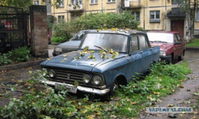 Вся правда о "брошенных" суперкарах Дубая