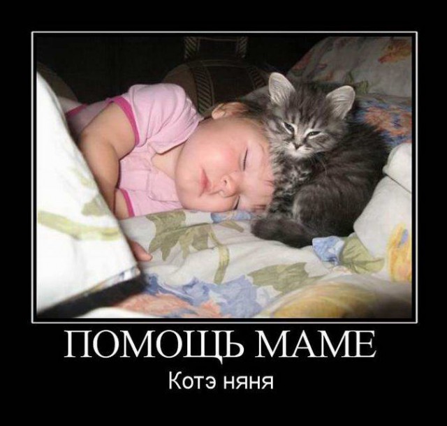 Прикольные картинки и демотиваторы