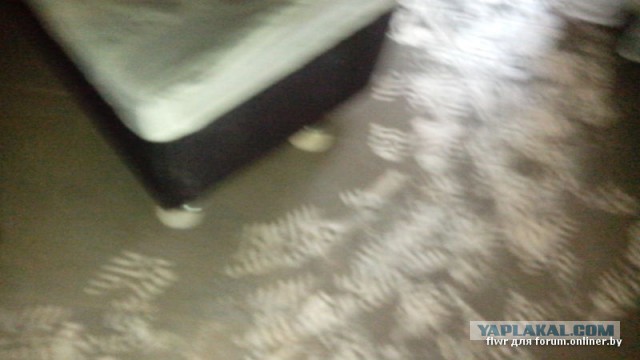 Вот такой хреновый праздник получился