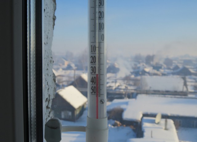 Ташкент, 2 января